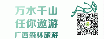 “广西十大森林康养基地”投票开始！