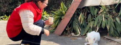 “喵星”驿站：一位平安志愿者的四百天守护日志
