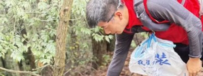 平安产险金华中心支公司：开展“山野无痕，平安‘净’行时”公益登山活动