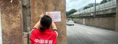 平安产险武义支公司：全链条部署防控 织密汛期安全防线