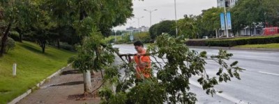 落实行业部署 筑牢防台防线 平安产险金华中心支公司全力迎战台风“白海豚”