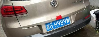 平安产险浦江支公司精准防控 全力筑牢台风防御屏障