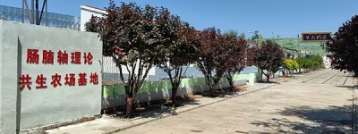 在希望的田野上：一位父亲与他的“不收费承诺”