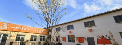 解锁工业游新姿势｜思乐得百年玉兰盛放，春日打卡正当时