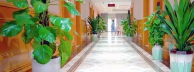 广州中医药大学金沙洲医院康复医学科引进康复机器人及球囊扩张术，助力改善脑梗后吞咽与运动障碍