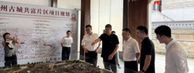 党建共建聚合力 金融赋能兴乡村——平安产险“乡风文明100行动”落地永康柳川村