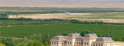 从贺兰山到春糖：美贺庄园让世界看见中国精品葡萄酒