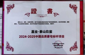 山东唯一 泰安唯一：嘉业·泰山玖玺荣膺中国十大品质豪宅等双殊荣！