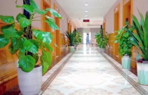 广州中医药大学金沙洲医院康复医学科引进康复机器人及球囊扩张术，助力改善脑梗后吞咽与运动障碍