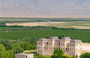 从贺兰山到春糖：美贺庄园让世界看见中国精品葡萄酒