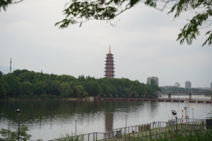 平安产险金华中心支公司：举办“5·19就要走”主题健步走活动