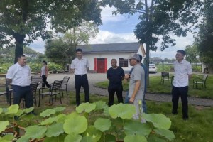 聚焦“7·8”保险宣传日 服务乡村振兴 平安产险金华中心支公司深入畲乡祝村走访调研
