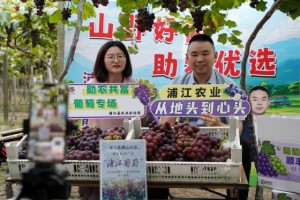 山野好葡通销路 云端助农促共富