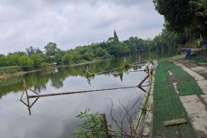 西部风老坛系列窝料如何玩转休闲黑坑