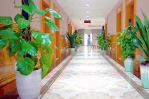 广州中医药大学金沙洲医院康复医学科引进康复机器人及球囊扩张术，助力改善脑梗后吞咽与运动障碍