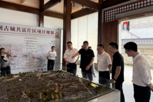 党建共建聚合力 金融赋能兴乡村——平安产险“乡风文明100行动”落地永康柳川村