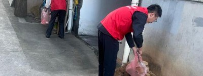平安产险磐安支公司：垃圾清理志愿服务 守护整洁宜居环境