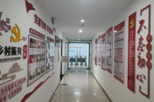 文化上墙入心 党工聚力兴企