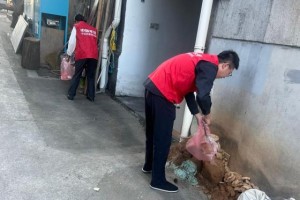 平安产险磐安支公司：垃圾清理志愿服务 守护整洁宜居环境